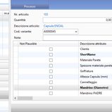 CONSEA_inserimento_riga